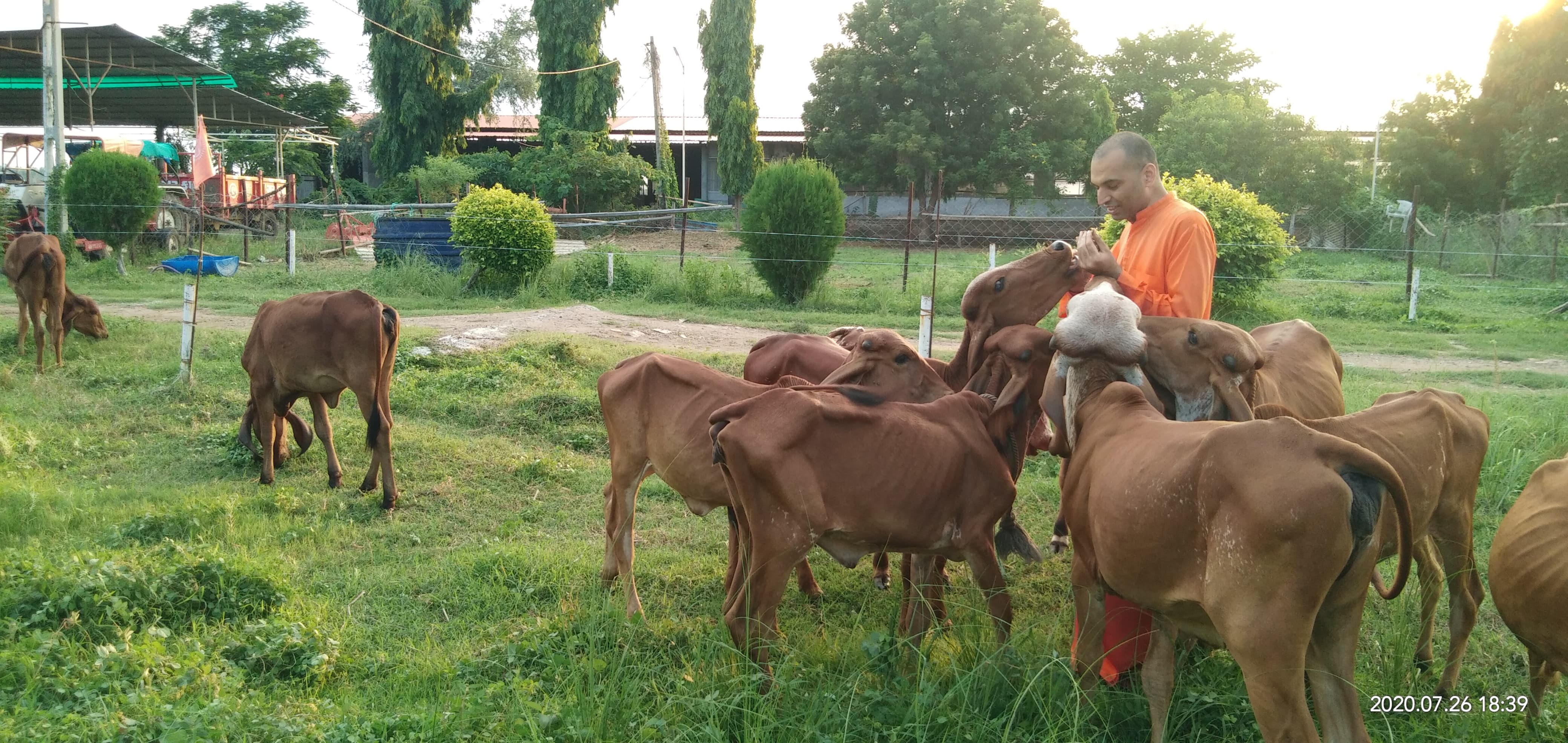 Gau Shala 5