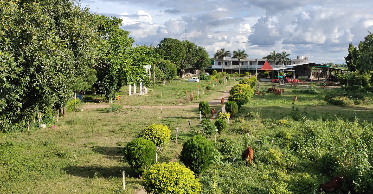 Lakulishdham