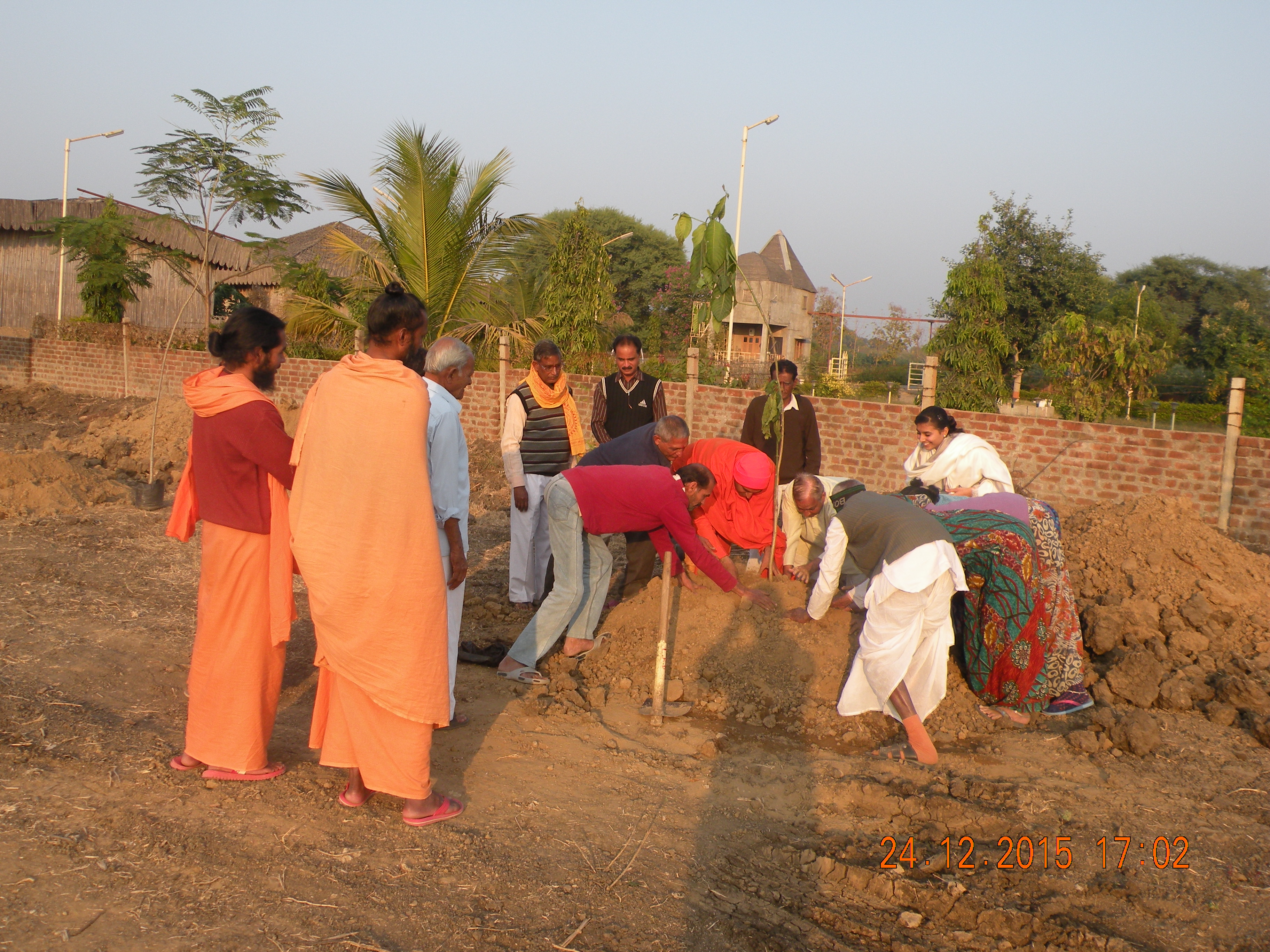 Tree Plantation